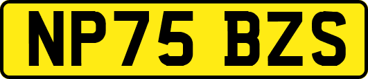 NP75BZS