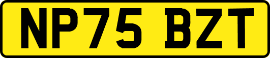 NP75BZT