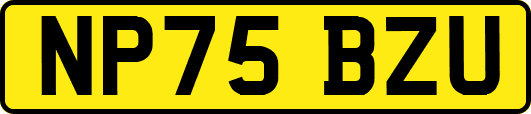 NP75BZU