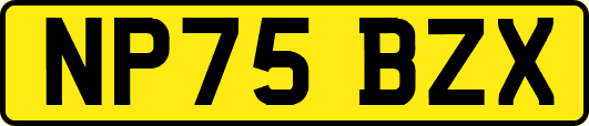 NP75BZX