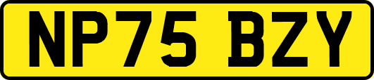 NP75BZY