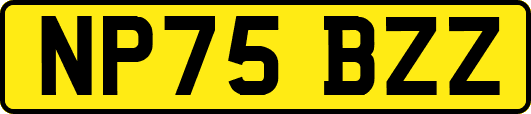 NP75BZZ