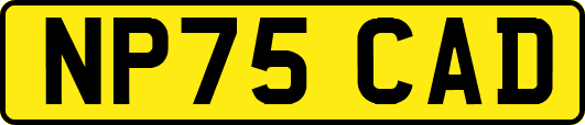 NP75CAD
