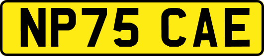 NP75CAE