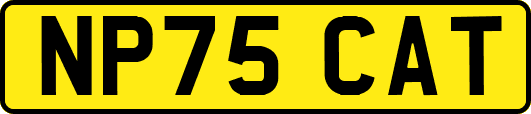 NP75CAT
