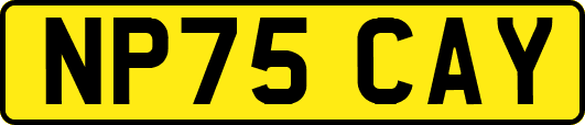 NP75CAY
