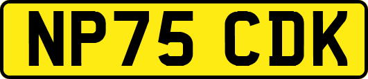NP75CDK