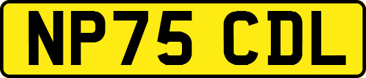 NP75CDL