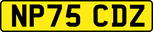 NP75CDZ