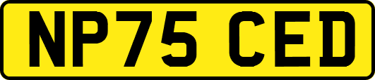 NP75CED