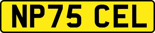 NP75CEL