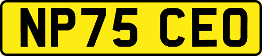 NP75CEO