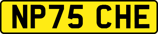 NP75CHE