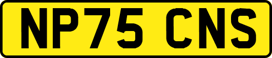NP75CNS