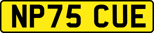 NP75CUE
