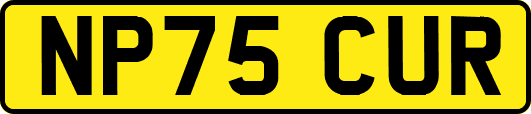 NP75CUR