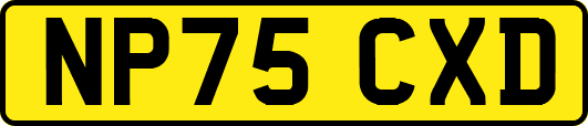 NP75CXD