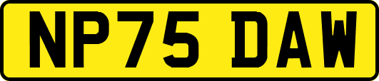 NP75DAW