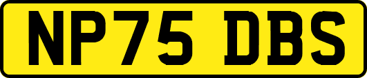 NP75DBS