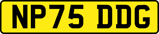 NP75DDG