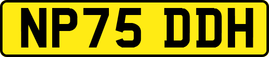 NP75DDH