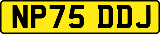 NP75DDJ