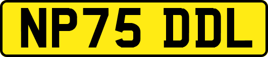 NP75DDL