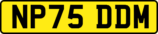 NP75DDM