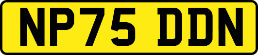 NP75DDN