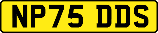 NP75DDS