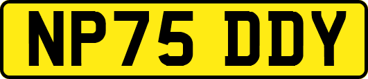 NP75DDY
