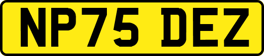 NP75DEZ