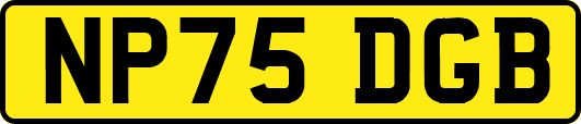 NP75DGB