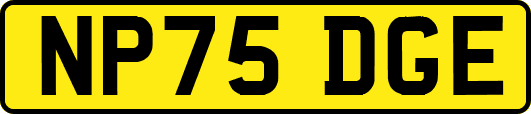 NP75DGE