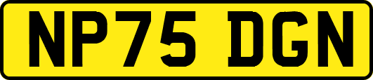 NP75DGN