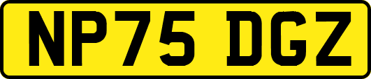 NP75DGZ