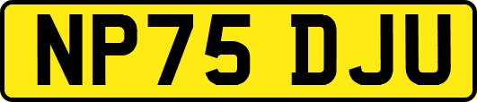 NP75DJU