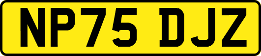 NP75DJZ