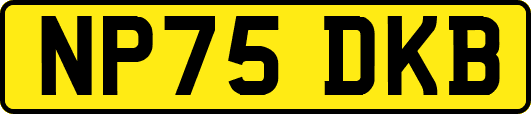 NP75DKB