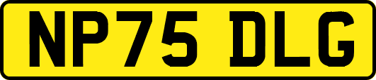 NP75DLG