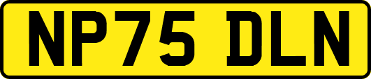 NP75DLN