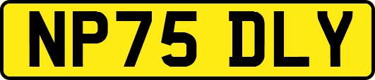 NP75DLY