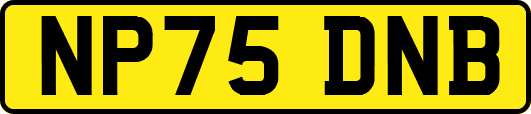 NP75DNB