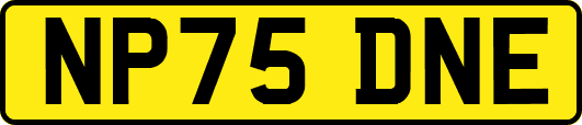 NP75DNE