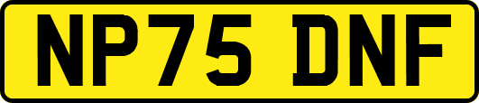 NP75DNF