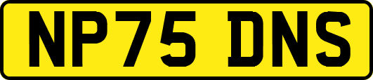 NP75DNS
