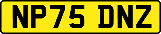 NP75DNZ