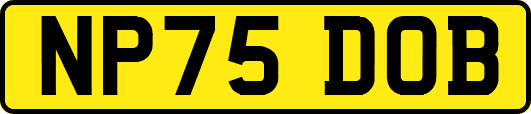 NP75DOB