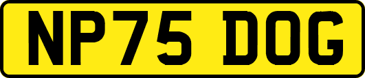 NP75DOG