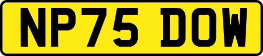 NP75DOW